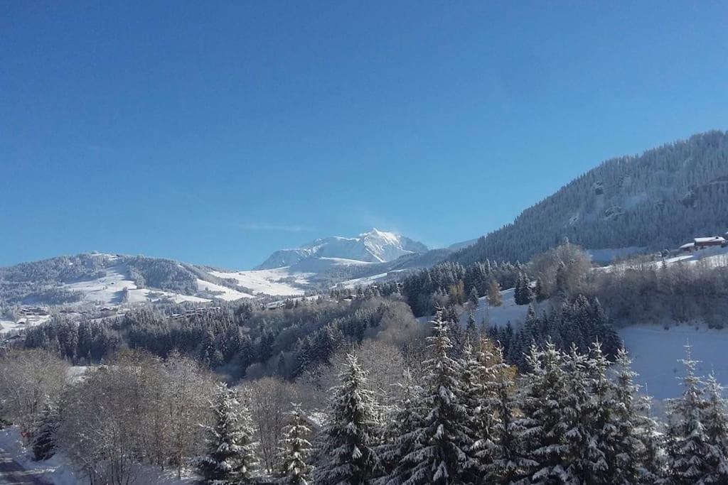 Chalet Vue Mont-Blanc, +4 Chambres, Cheminee Megève Exterior foto